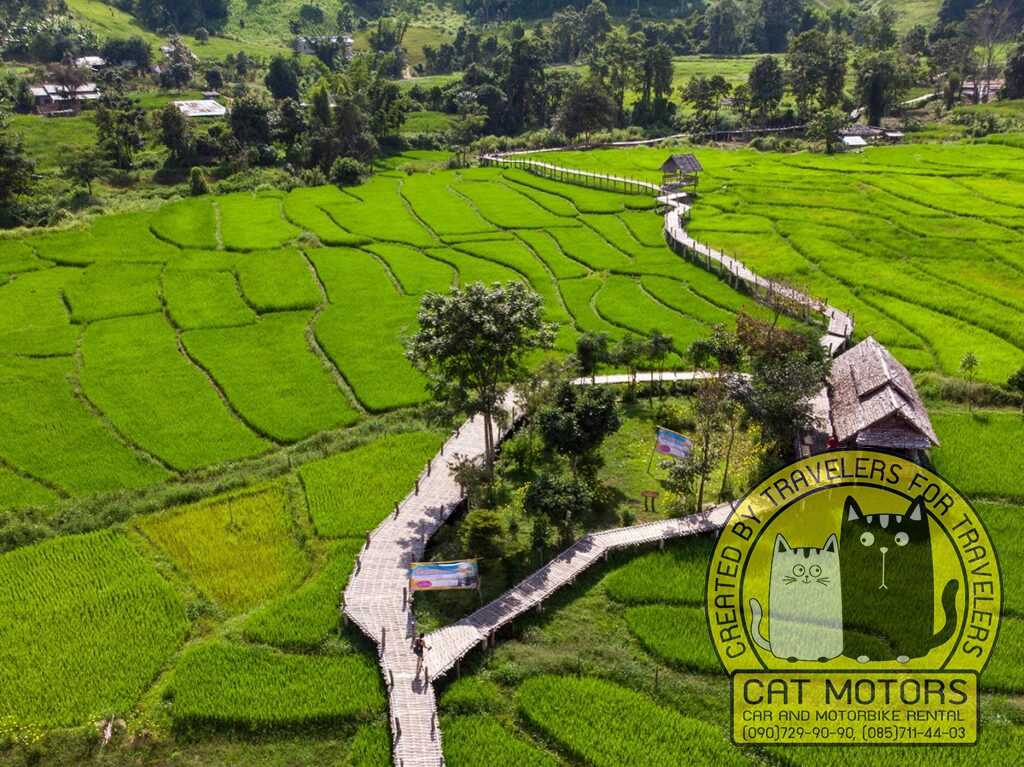 Discover The Bamboo Bridge In Pai A Serene Thai Adventure