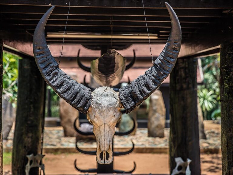 Experience Chiang Rai Loop: 31 Unforgettable Spots