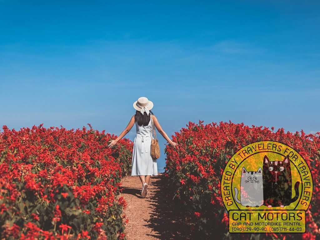 Explore The Best Of Mon Jam: 13 Must-See Attractions